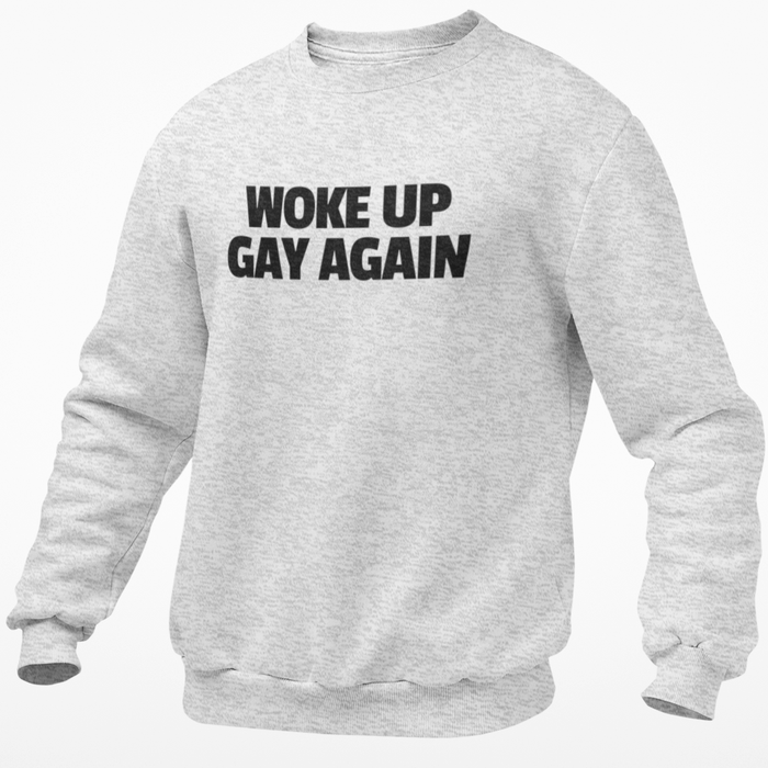 Woke Up Gay Again