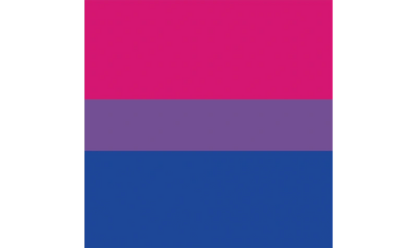 Bisexual Bandana