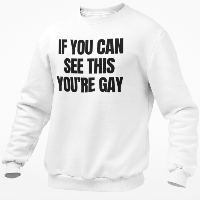 If You Can See This You're Gay