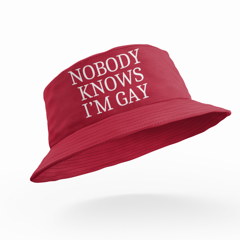 Nobody Knows I'm Gay