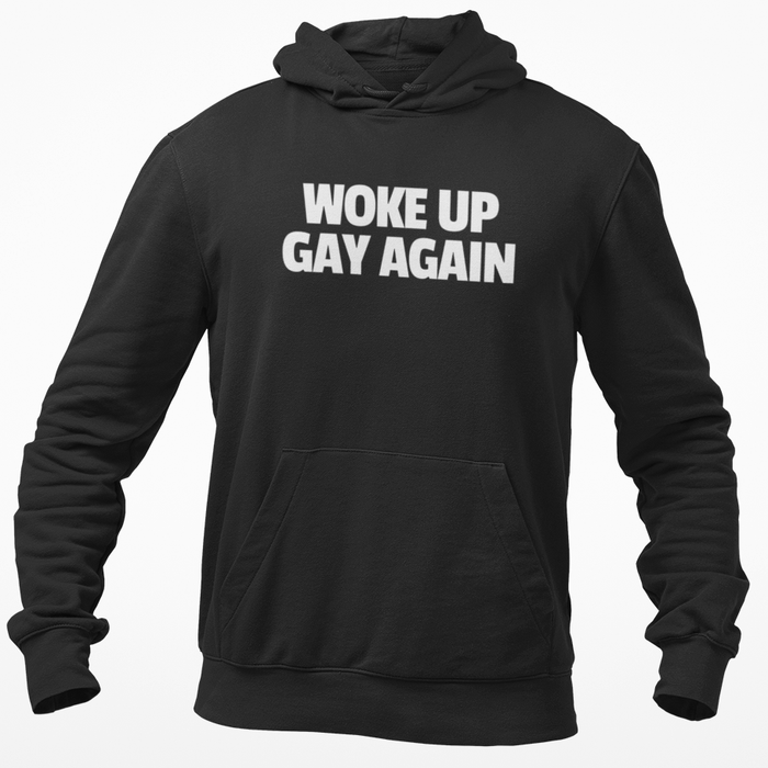 Woke Up Gay Again