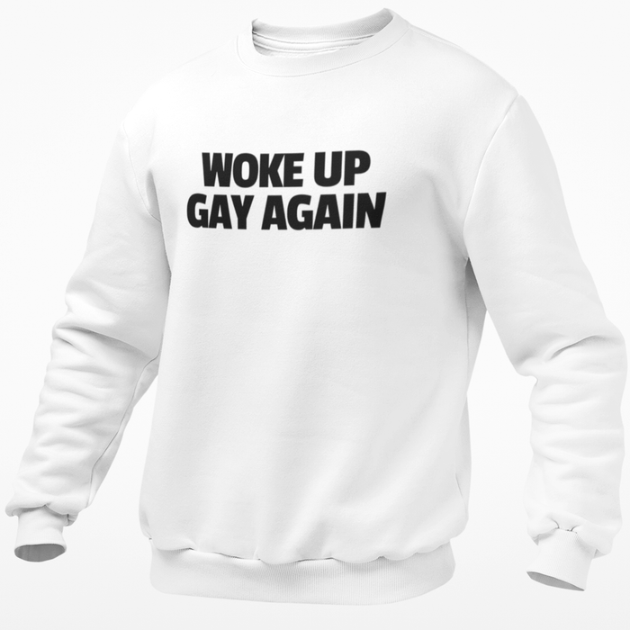 Woke Up Gay Again