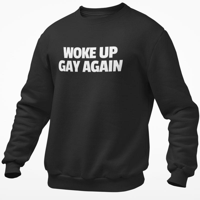 Woke Up Gay Again