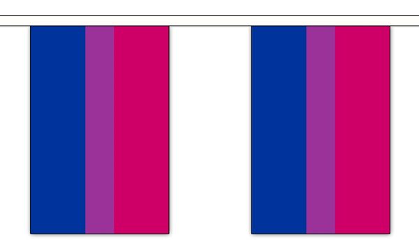 Bisexual Pride Bunting- Large ( 9 metres- 30 flags )