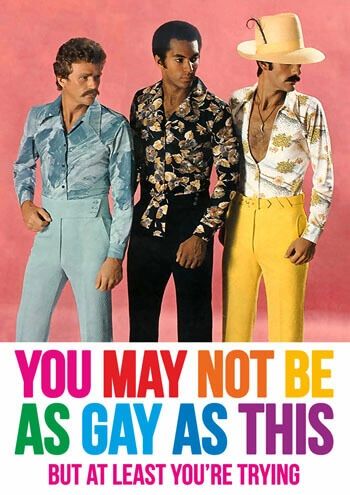 You May Not Be As Gay As This..