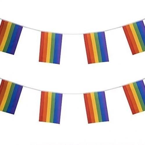 Rainbow Pride Bunting- Large ( 9 metres- 30 flags )