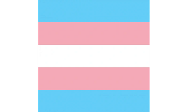 Transgender Bandana
